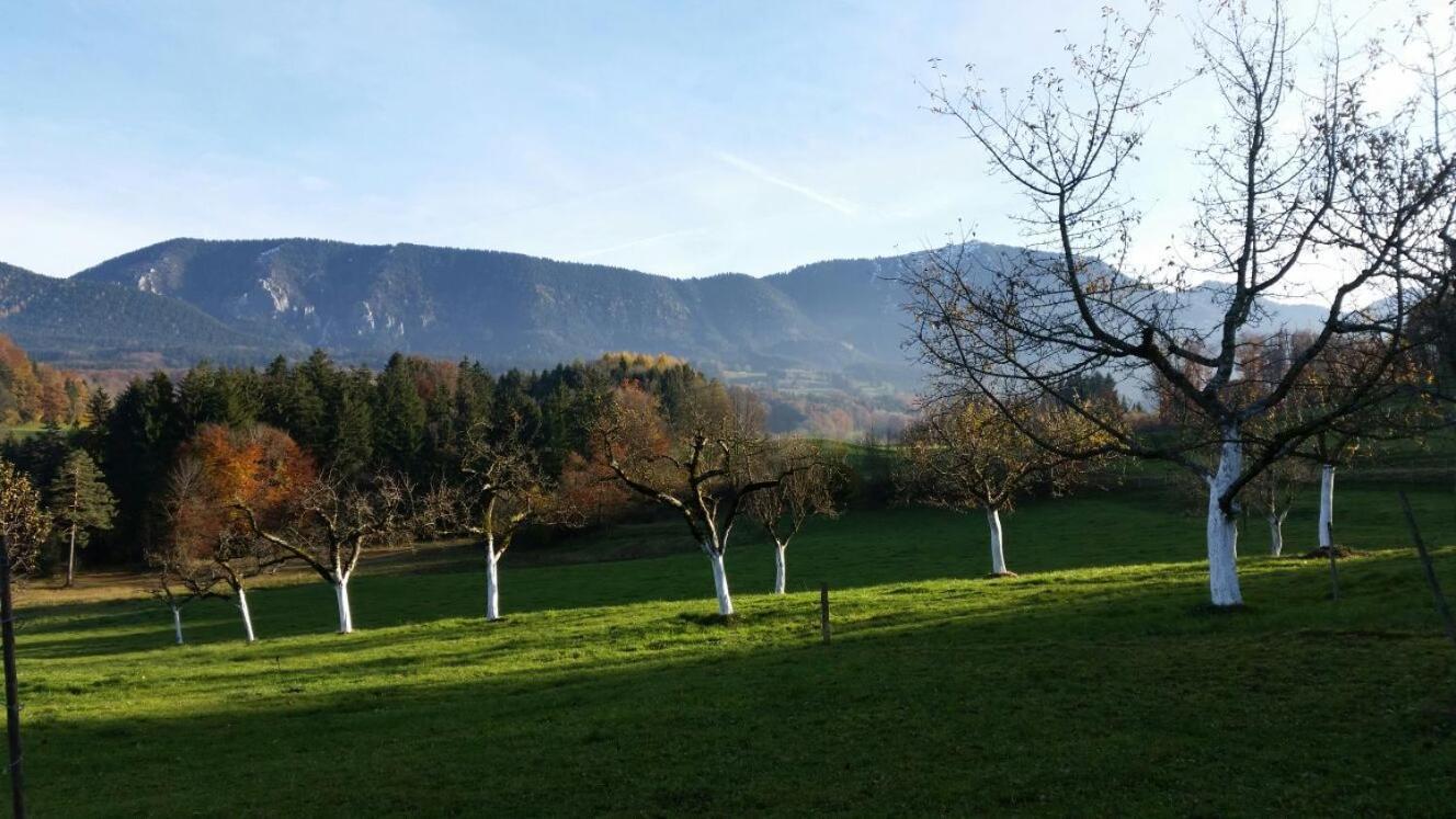Weissnhof Villa Samerberg Buitenkant foto